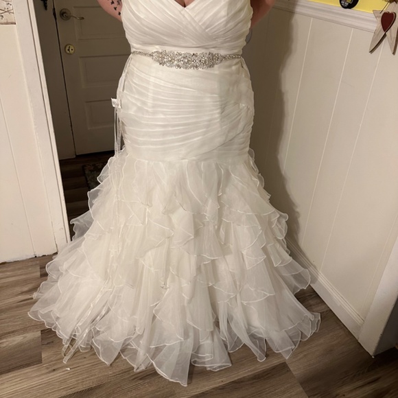 David’s Bridal Wedding gown - Picture 2 of 12